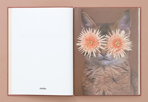 itscolossal:Cats & Plants: A 152-Page Book of Nothing but...