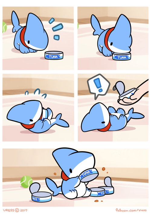 vress-shark:Tuna Can!