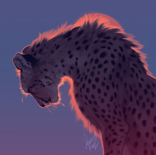 tamberella:Big cat portraits of mine from the last couple of...