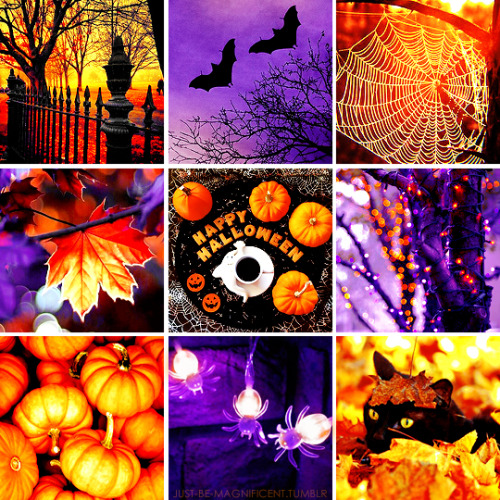 halloween aesthetic on Tumblr