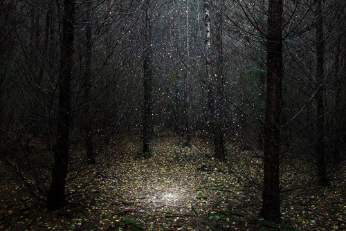 landscape-photo-graphy:Artist Ellie Davies Spent 7 Years...