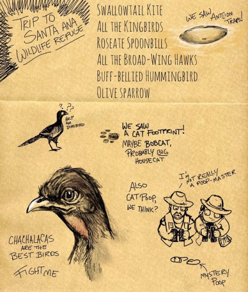 Birding in the Rio Grande right now. Can’t do good sketchbook...