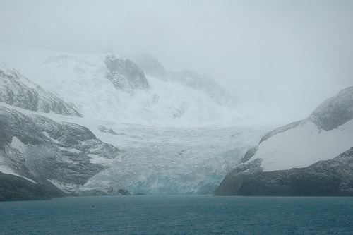 zptp:South Georgia, Drygalski fjordRita Willaert