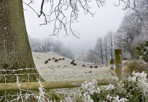 blckcoal:pagewoman:Winter in the Cotswoldsby...