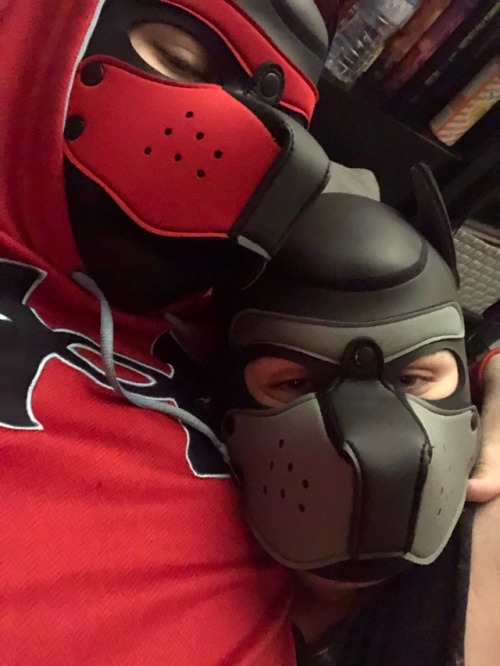 storm-pup:Cuddles with Alpha @titan-pup