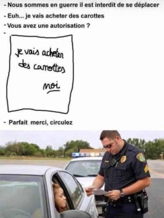 My sister lives in France (we are part French) and I thought yall would appreciate this French meme in France if you go outside...
