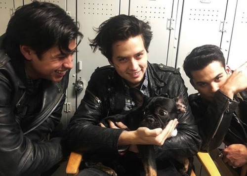 cherry-kissesxo:4 puppies.