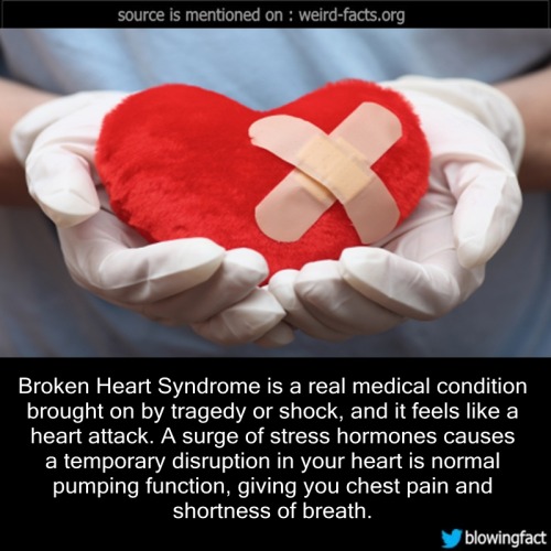 mindblowingfactz:Broken Heart Syndrome is a real medical...