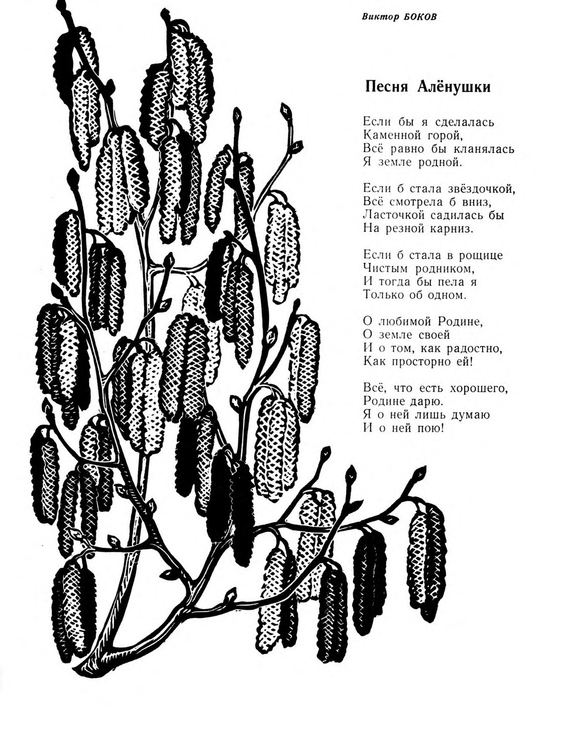 Birch catkins engraving by A. Borodin (1971)