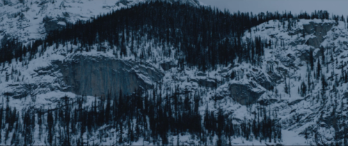 dansloeilducyclone:Hold The Dark (2018)Réalisateur : Jeremy...