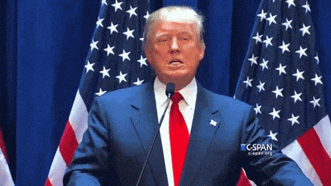 DiagnoseTrump -  Donald Trump sera t-il élu Président des États-Unis? - Page 20 Tumblr_inline_ns7r74ieJ81sjh1ps_500