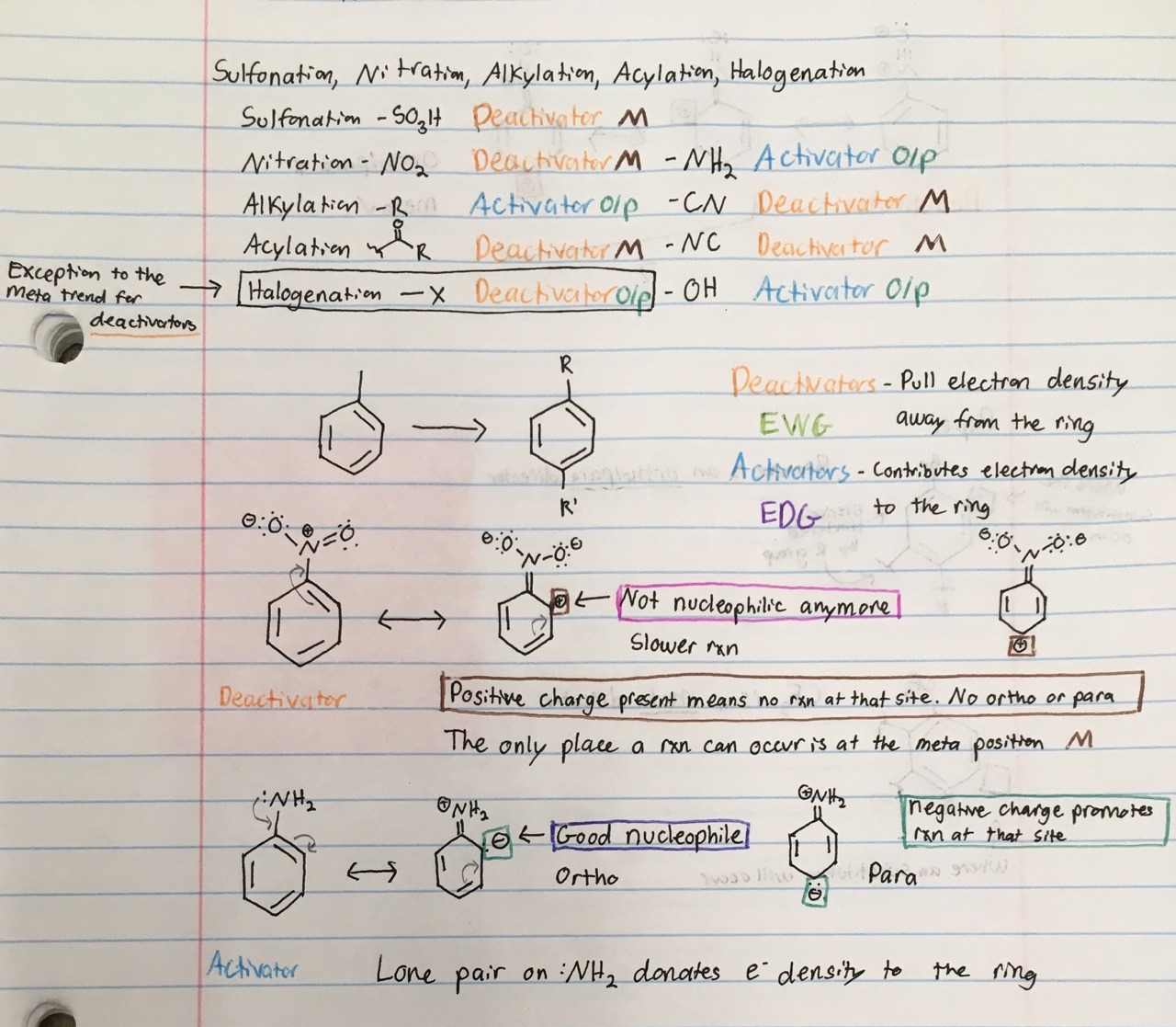 I Love Mitochondria — OCHEM 2 notes: Activators and Deactivators for...