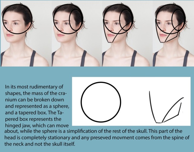 loomis method book