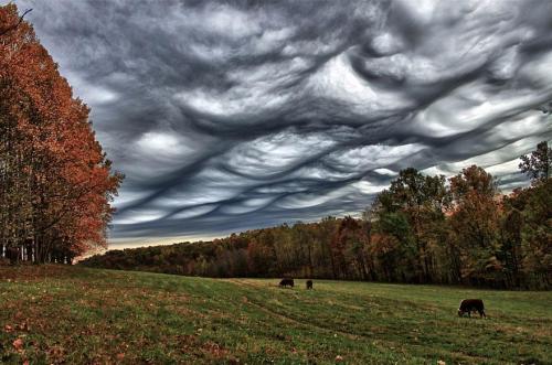 lyvvv:Clouds are perfect.