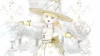 ♥ White♥♦ℳagician ♠ ♥ White♥♦ℳagician ♠
