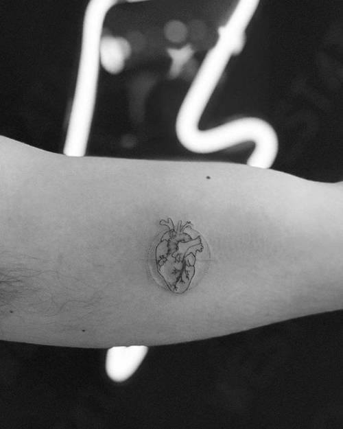By Wicky Nicky, done at West 4 Tattoo, Manhattan.... small;anatomy;single needle;micro;heart;inner arm;wickynicky;tiny;love;ifttt;little;anatomical heart
