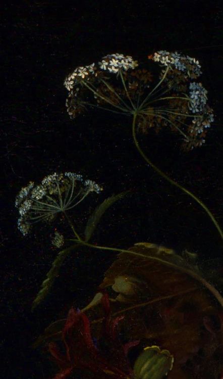 clara–lux:OOSTERWIJCK, Maria van (1630–1693)Bouquet of...