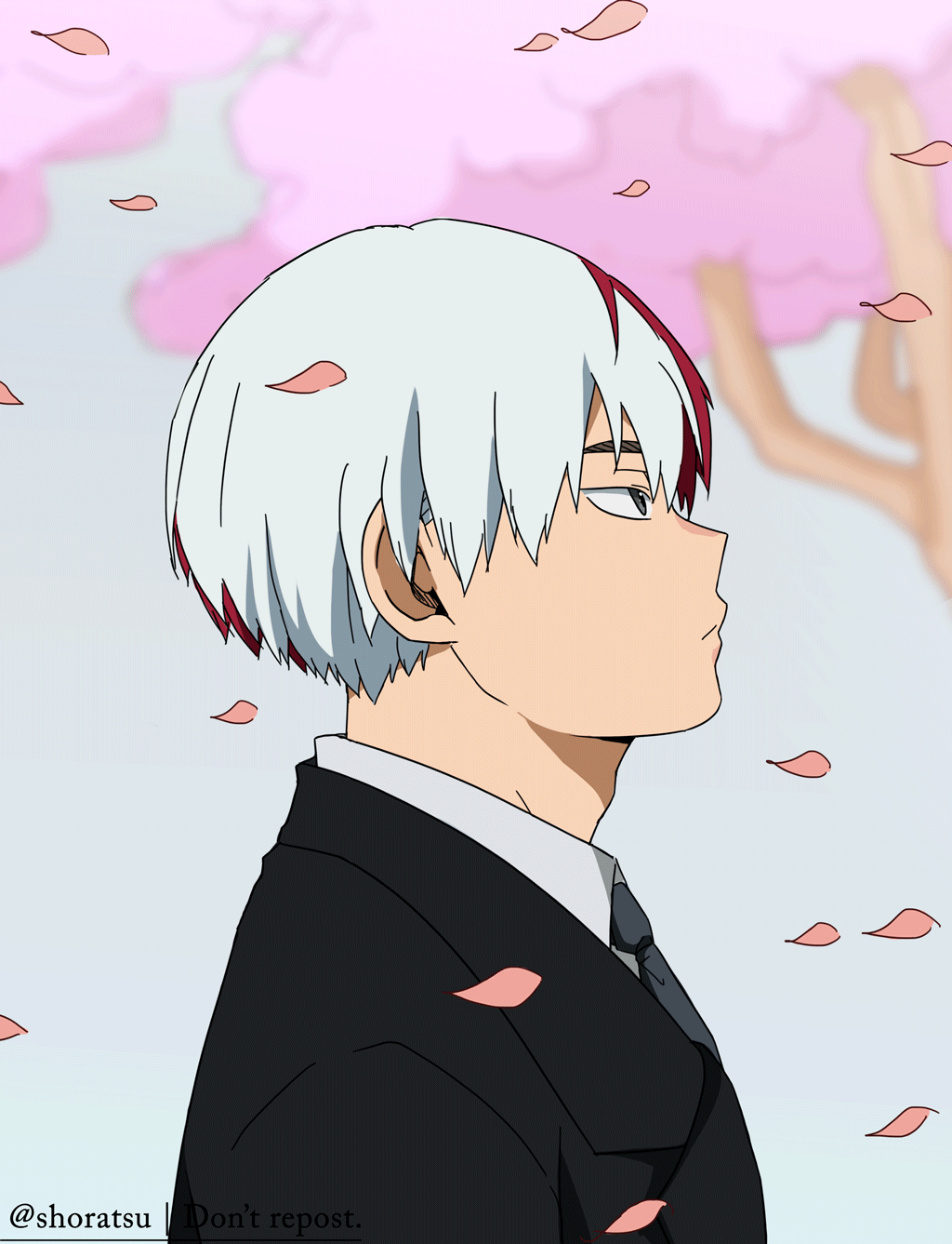 Shora Artist Just Todoroki And Cherry Blossom Leaves The