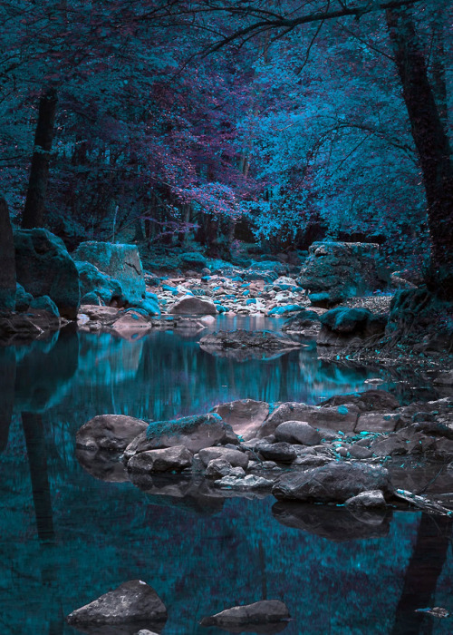 coiour-my-world:Zlaca River, Mt. Konjuh, Banovici, Bosnia...