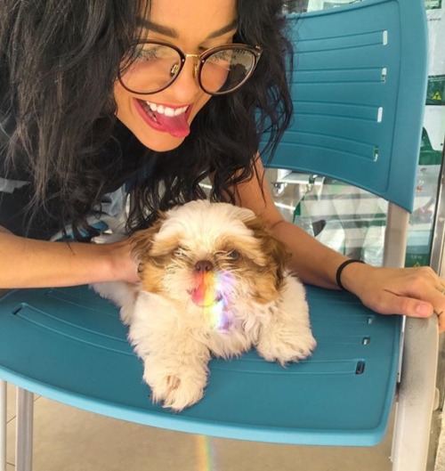 dog dogsofinstagram doglover pets pet petstagram animals rainbow my crush natalie smith natiese lesbian couple lesbian girls lesbian love lesbians girls baby girl baby animals cuteness cute girls cute dog baby dog cute smile cute şey çok güzel güzel kız