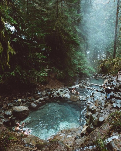 wanderthewood:Washington by bdorts