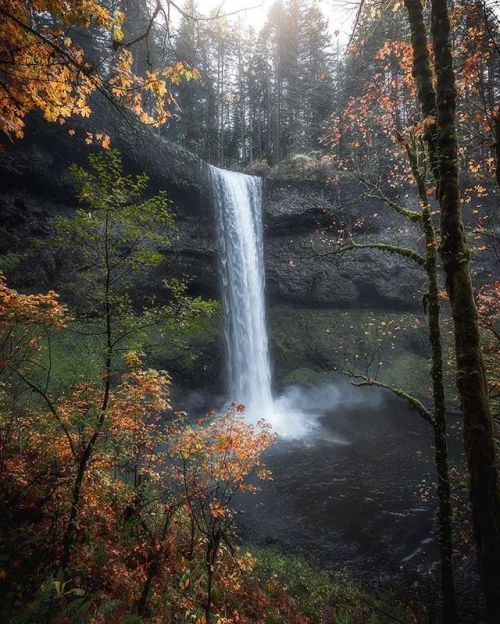 Photo from @daveolinger - Silver Falls State Park - Image...