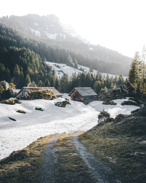 wild-cabins:Silvan ↟↟