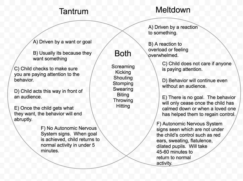 tantrum vs autistic meltdown