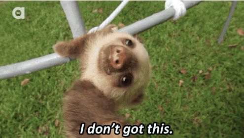 Image result for sloth gif