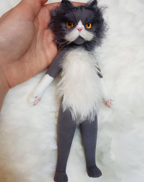 Rachel brown hot sale cat dolls