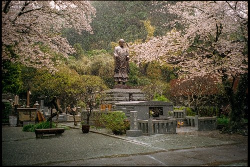 shinnoguchiphotography