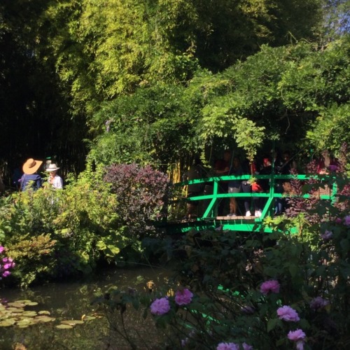 mypasalacqua:i still can’t believe i got to visit monet’s...