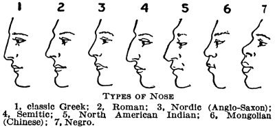 mexican nose shape