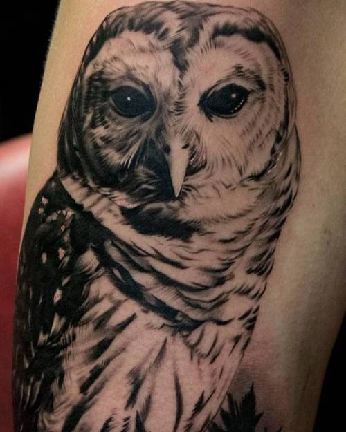 By Kevin Rosenkjær, done at Frederik Den Niendes Tattoo Shop,... black and grey;big;animal;bird;kevinrosenkjaer;barn owl;facebook;twitter