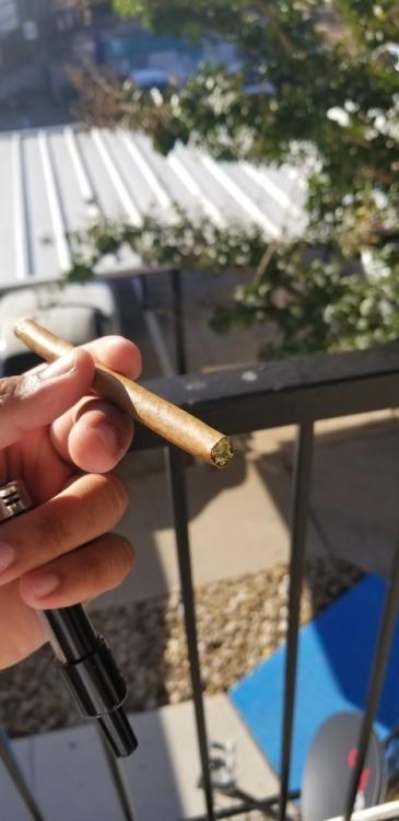 apt-420:Only @apt-420Twax blunt. Prefer joints but got to...