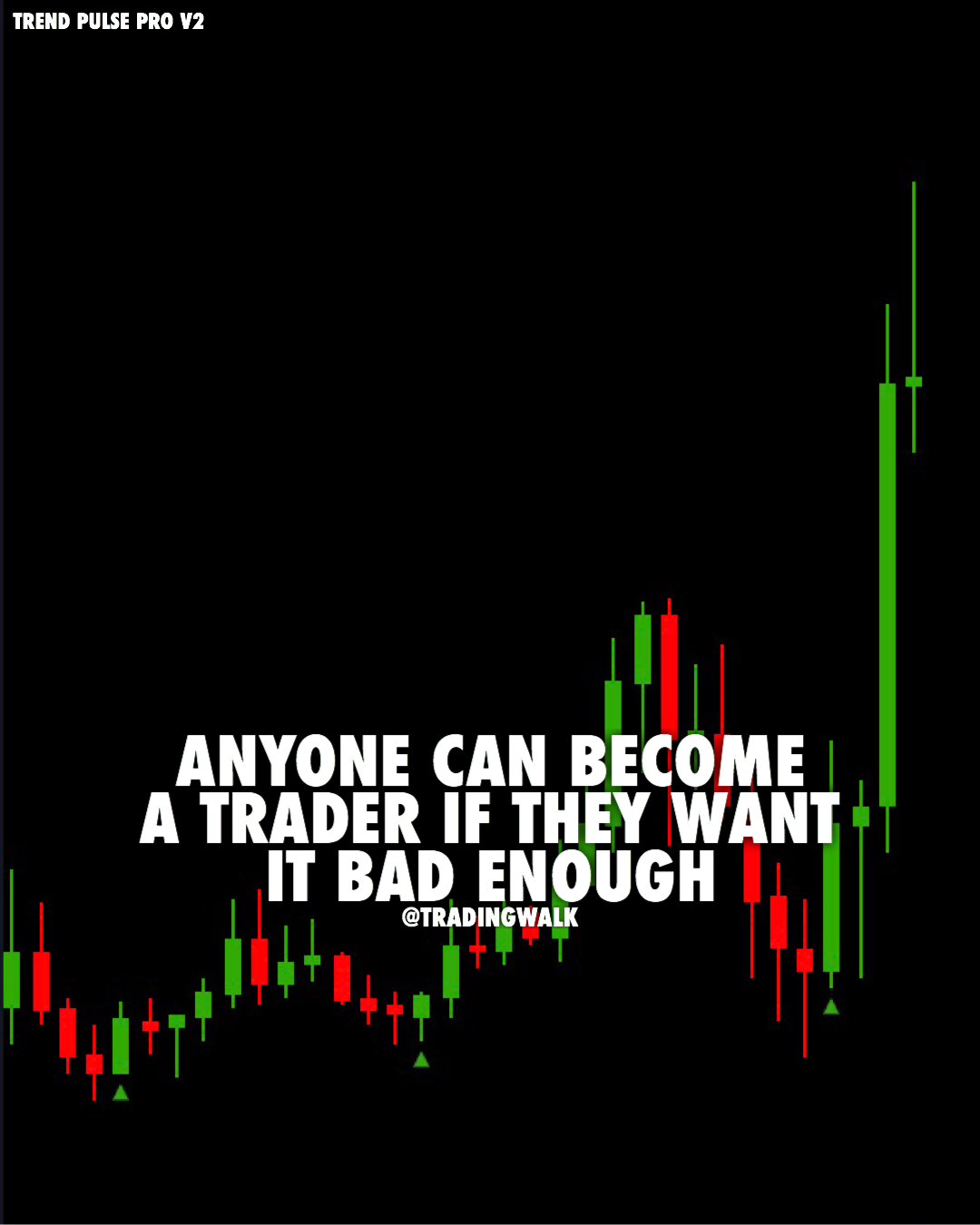 Forex millionaires reddit