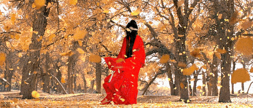 tumblr_npc9p7NhiX1sajg7no1_500.gif