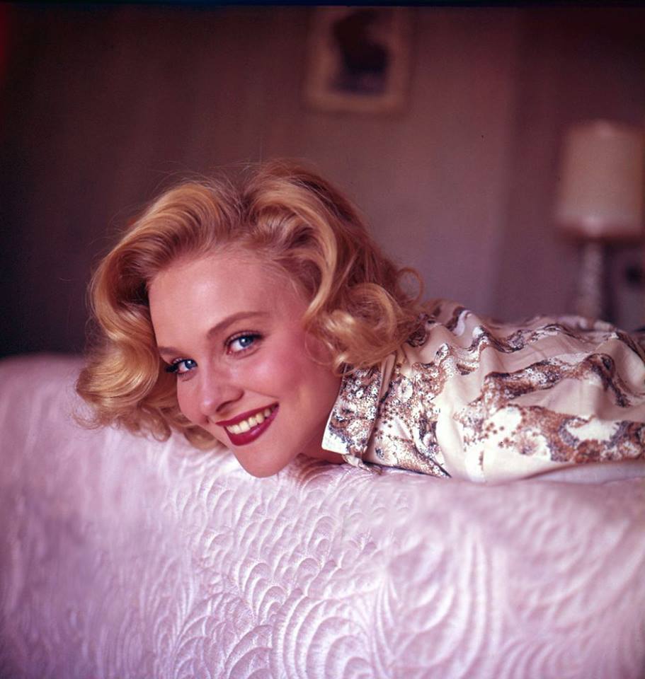 Next photo of Diane McBain