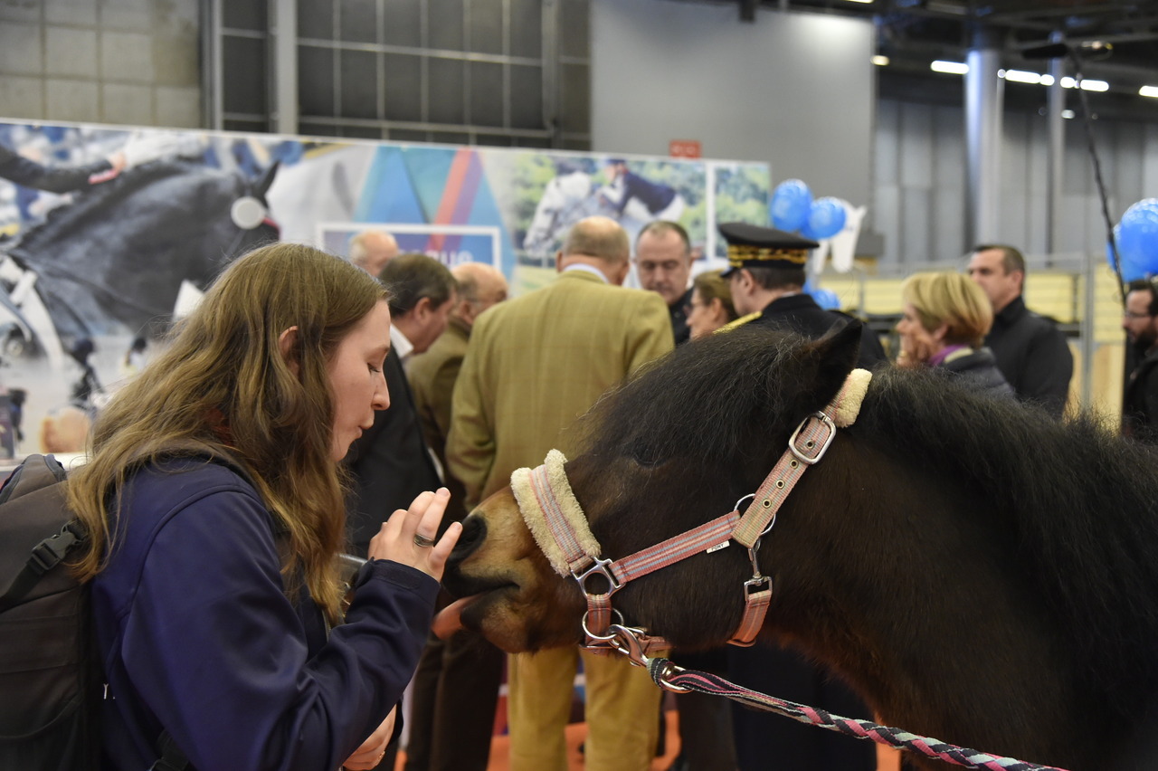 Salon Du Cheval De Paris Bienvenue Dans Le Plus Grand Centre