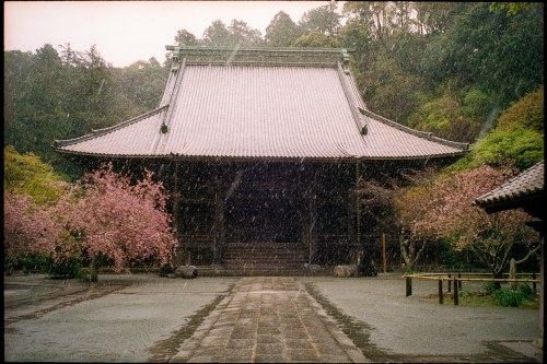 shinnoguchiphotography