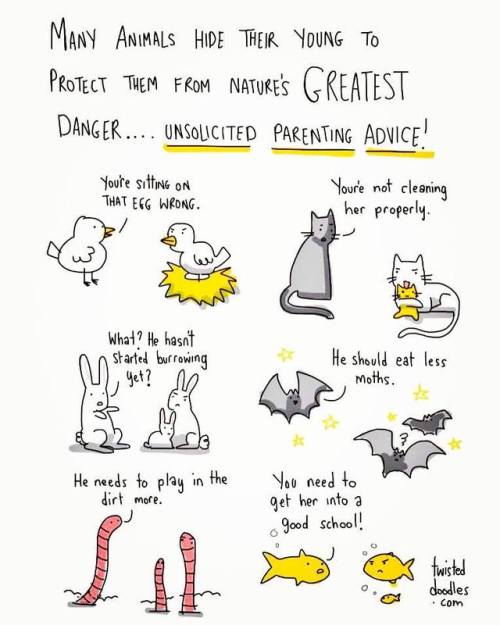 catsbeaversandducks:By Twisteddoodles