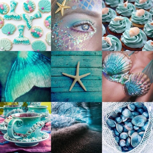 purple starfish | Tumblr