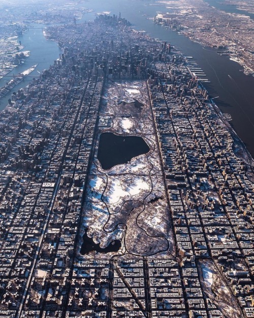 new york new york new york central park public park park landmark iconic history photography aerial photography street photography urban landscape city downtown buildings architecture view scenery skyline skyscraper lifestyle culture mood aesthetics
