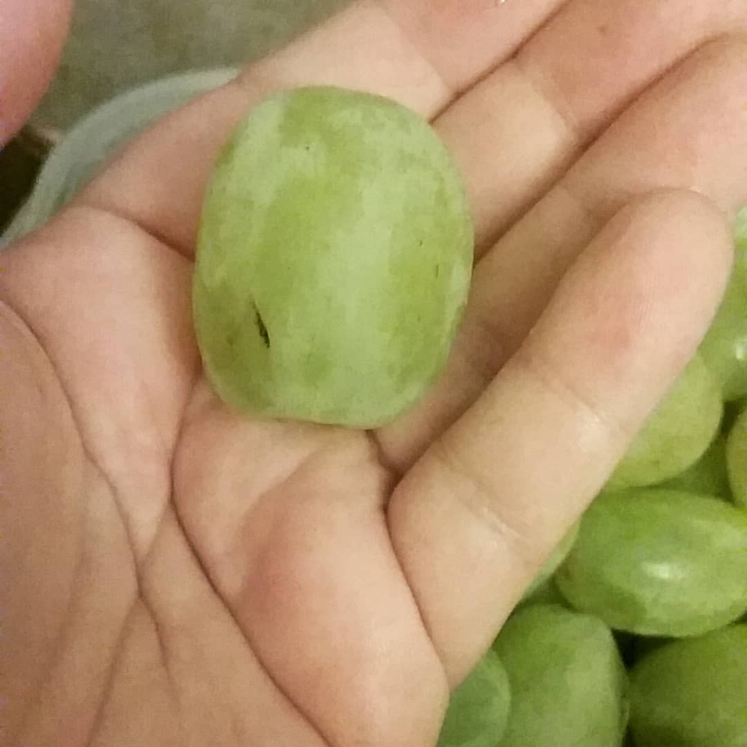 Image result for massive grapes