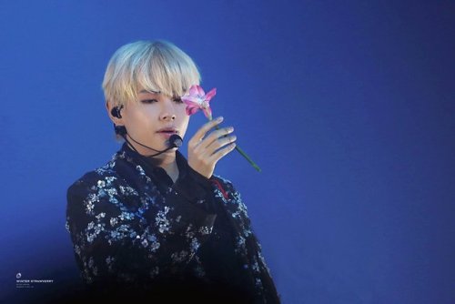 fykimtaehyung:© Winter Strawverry | Do not edit.