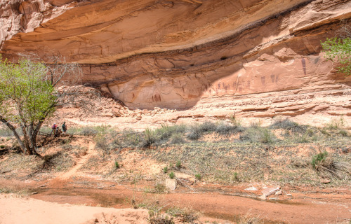 ancientart:Horseshoe Canyon, Utah, USA, within it, the Great...