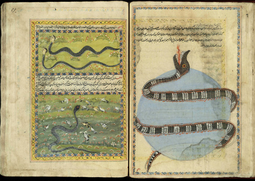 andrusmagnus:The Book of Wonders of Age Persia17th or 18thC