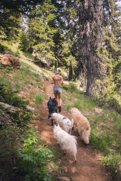 honestarrogance:Happy trails.