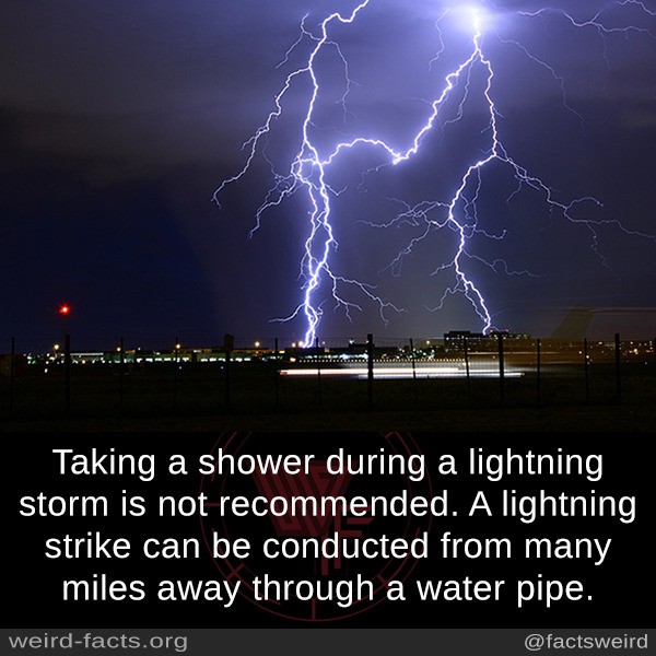 Weird Facts, Taking a shower during a lightning storm is not...