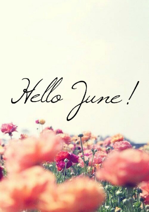 hello june on Tumblr